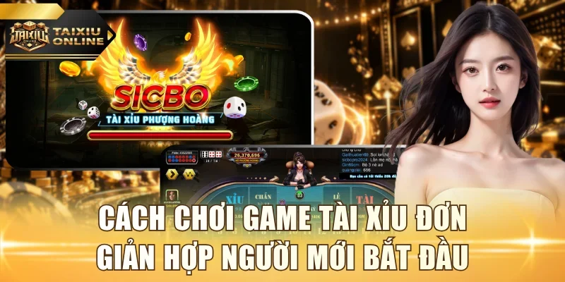 Cách chơi game tài xỉu đơn giản hợp người mới bắt đầu