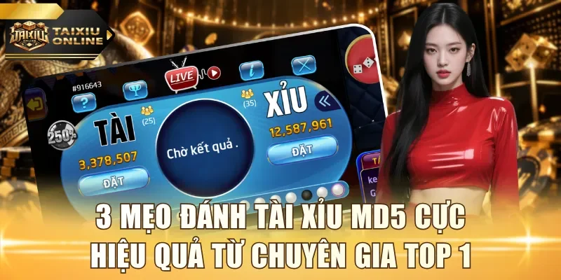Mẹo đánh tài xỉu MD5